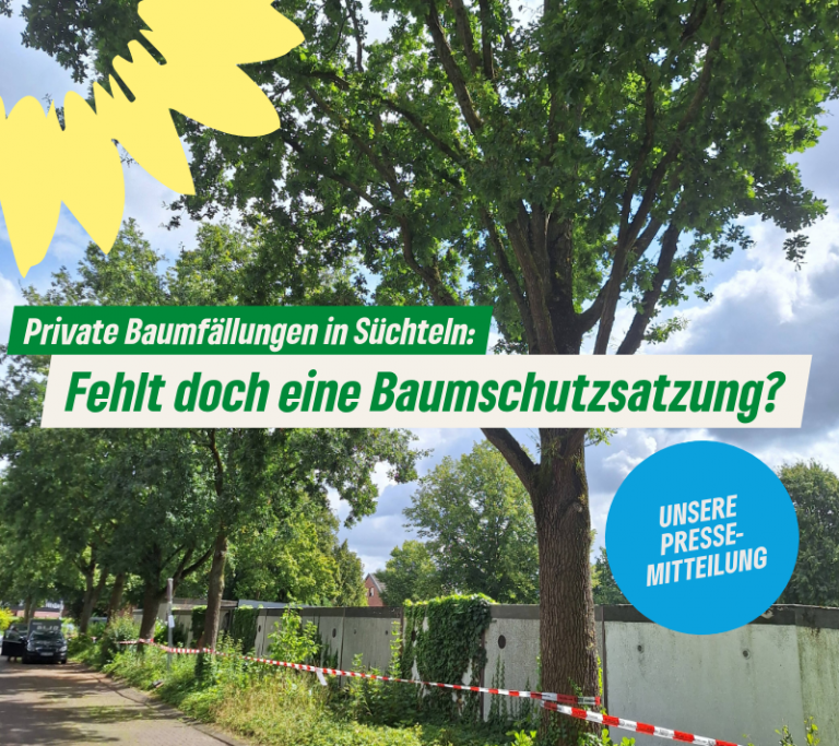 23.08.2024 Pressemitteilung „Private Baumfällungen in Süchteln – fehlt doch eine Baumschutzsatzung?“?